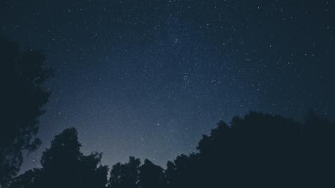 photo courtesy of pexels - https://www.pexels.com/photo/sky-night-space-trees-6546/