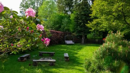 Image of a backyard full of flowering plants. Courtesy of Unsplash.