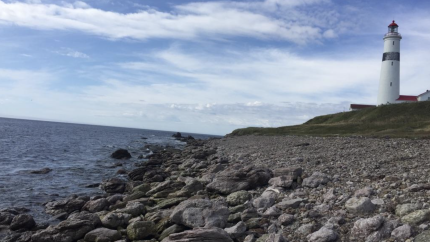 Image of the seaside in Canada. Courtesy of David Ogden.