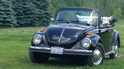 Image of a old-fashioned car on a green lawn. Courtesy of Ron Vanderwell.