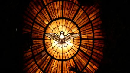 An image of a dove, surrounded by flames in the background. Courtesy of Unsplash.