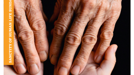 Image of two adult hands holding two small child's hands. Courtesy of Thrive.