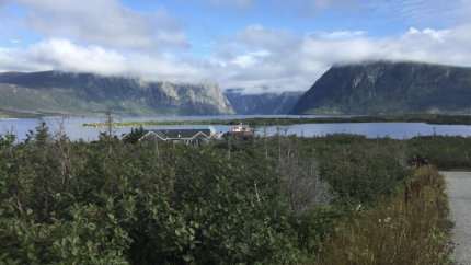 A photo of a beautiful landscape in Newfoundland. Courtesy of Dave Odgen.