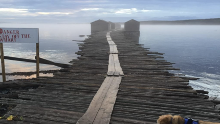 Image of a boardwalk. Courtesy of David Odgen.