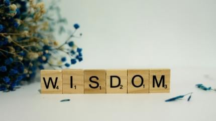 Scrabble letters spell the word "WISDOM," with a background of white and a bouquet of dried blue flowers on the left side of the image.