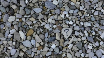 A bed of rocks, with one with a question mark.