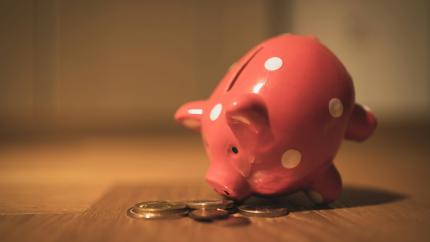 A piggy bank looks down at a batch of coins