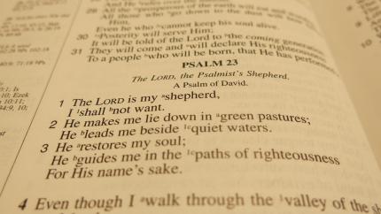 photo courtesy of pixabay - https://pixabay.com/en/bible-scripture-psalm-psalm-23-450298/