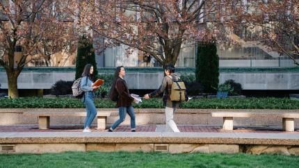Image of a group of college students greeting each other. Courtesy of Pexels.