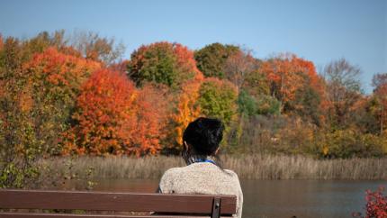 Women sits on bench looking out at a lake and changing fall colors