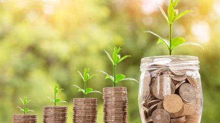 Stacks of coins are set out in order of increasing height. Small shoots of grass grow out of them, indicating the value of saving, giving, and growing.