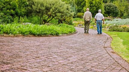 Two old white men walk down a brick path in a garden