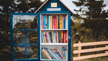 https://www.pexels.com/photo/creative-public-bookcase-located-in-green-park-4582544/