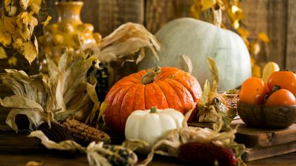 Image of a pumpkin surrounded by corn leaves