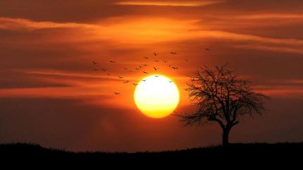 An image of the sun with a single tree and the beautiful moon in the background