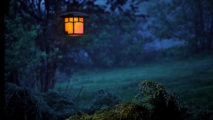 An image of a dark night in a garden with a beautiful lit lantern.