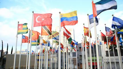 A set of many nations' flags fly together.