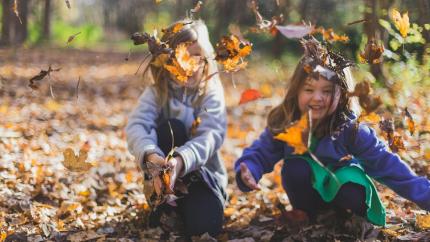 https://www.pexels.com/photo/photo-of-children-playing-with-dry-leaves-1582736/