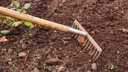 Photo courtesy of Pixabay https://pixabay.com/en/rake-gardening-garden-agriculture-2915742/