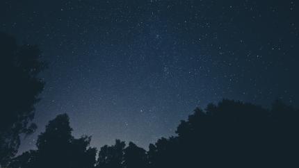 photo courtesy of pexels - https://www.pexels.com/photo/sky-night-space-trees-6546/