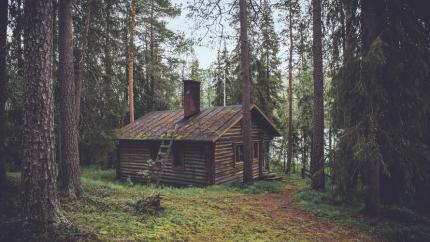 photo courtesy of pexels - https://www.pexels.com/photo/forest-woods-trees-house-24344/
