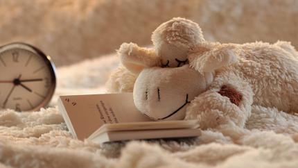 a child's stuffed lamb, book and clock sit on a fuzzy white blanket
