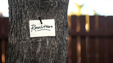 Image of a tree with a text reading "resolutions" posted on it.