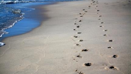 Footprints in the sand