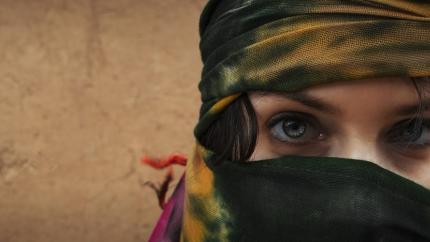 https://pixabay.com/photos/woman-arabic-young-beautiful-veil-4261014/