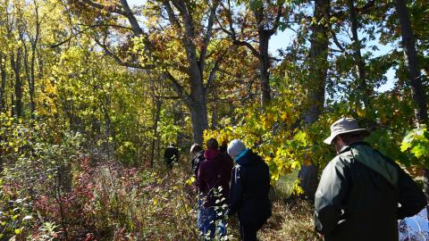 A group of people walking through the woods