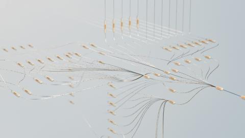 Image of a group of lines leading to adjacent lines, representing an algorithm. Courtesy of Google Deep Mind on Unsplash.