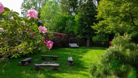 Image of a backyard full of flowering plants. Courtesy of Unsplash.