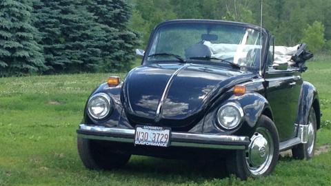 Image of a old-fashioned car on a green lawn. Courtesy of Ron Vanderwell.