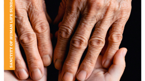 Image of two adult hands holding two small child's hands. Courtesy of Thrive.
