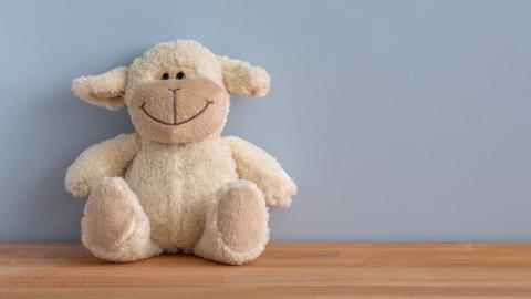 photo courtesy of pexels - https://www.pexels.com/photo/cuddly-toy-toy-happy-smiling-12211/