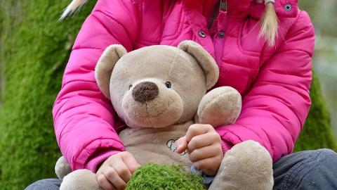 https://pixabay.com/photos/child-teddy-bear-stuffed-animal-542134/