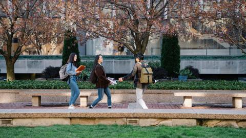 Image of a group of college students greeting each other. Courtesy of Pexels.
