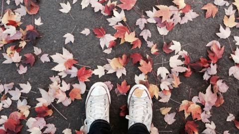 Photo courtesy of Pexels: https://www.pexels.com/photo/converse-fabric-fall-leaves-leaves-414607/