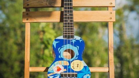 photo courtesy of pixabay - https://pixabay.com/en/small-guitar-colorful-summer-guitar-932949/