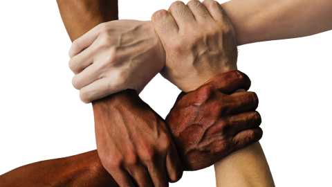 Photo courtesy of Pixabay https://pixabay.com/en/hand-united-hands-united-together-1917895/