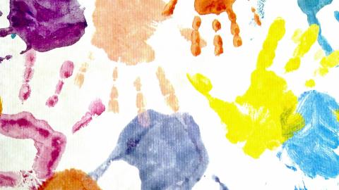 On a white background, there are many handprints in many different paint colors.