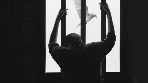 A Man in Prison and Bird Flying Freely