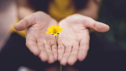 girl cupping hands around yellow flower