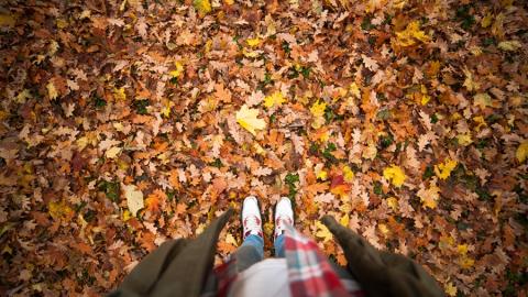 photo courtesy of pexels - https://www.pexels.com/photo/person-standing-on-a-ground-with-dry-leaves-133262/