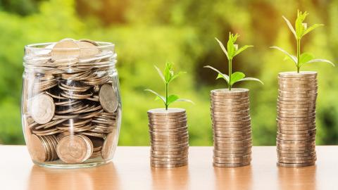 Image of coin stacks and a jar, with grass shoots growing from the coins stacks indicating long-term monetary growth