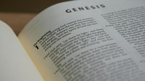 An image of the first page of Genesis. Courtesy of Pexels.