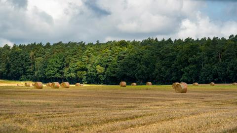 Hay field recently bailed. 