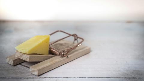 Mouse trap with a piece of cheese sits on it sits on a wooden baseboard, representing this article's discussion of how ideological conversations can trap congregations in a challenging cycle.