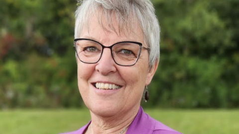 Liz Tolkamp headshot, with black glasses, a pink cardigan, and a black shirt