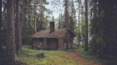 photo courtesy of pexels - https://www.pexels.com/photo/forest-woods-trees-house-24344/